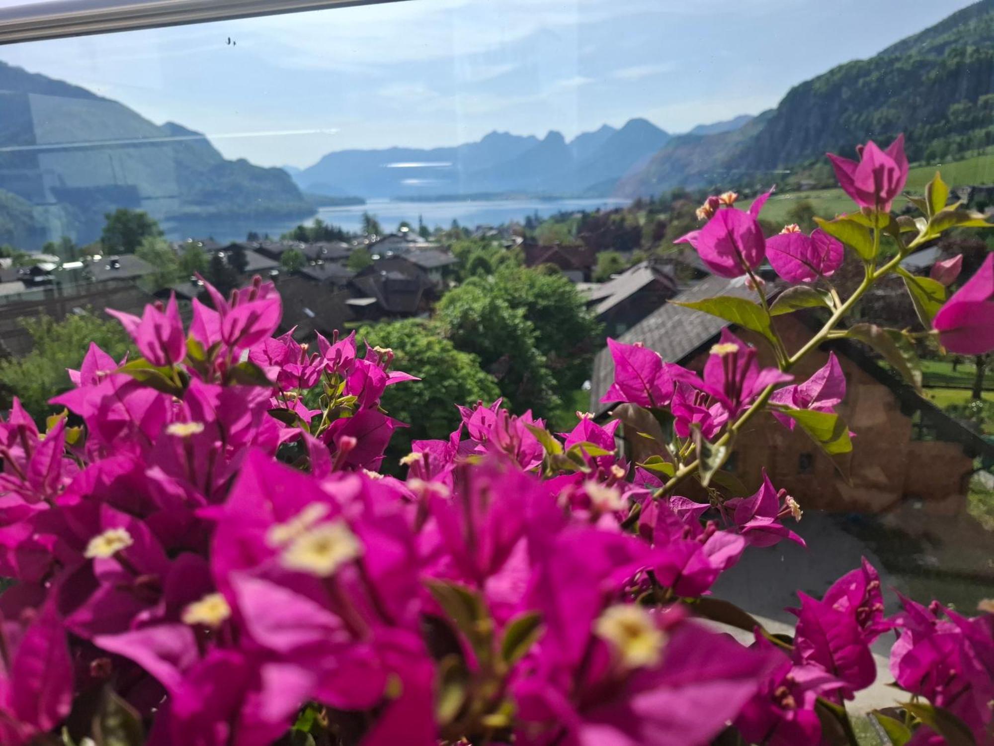 Luxury View Sankt Gilgen Lejlighed Eksteriør billede